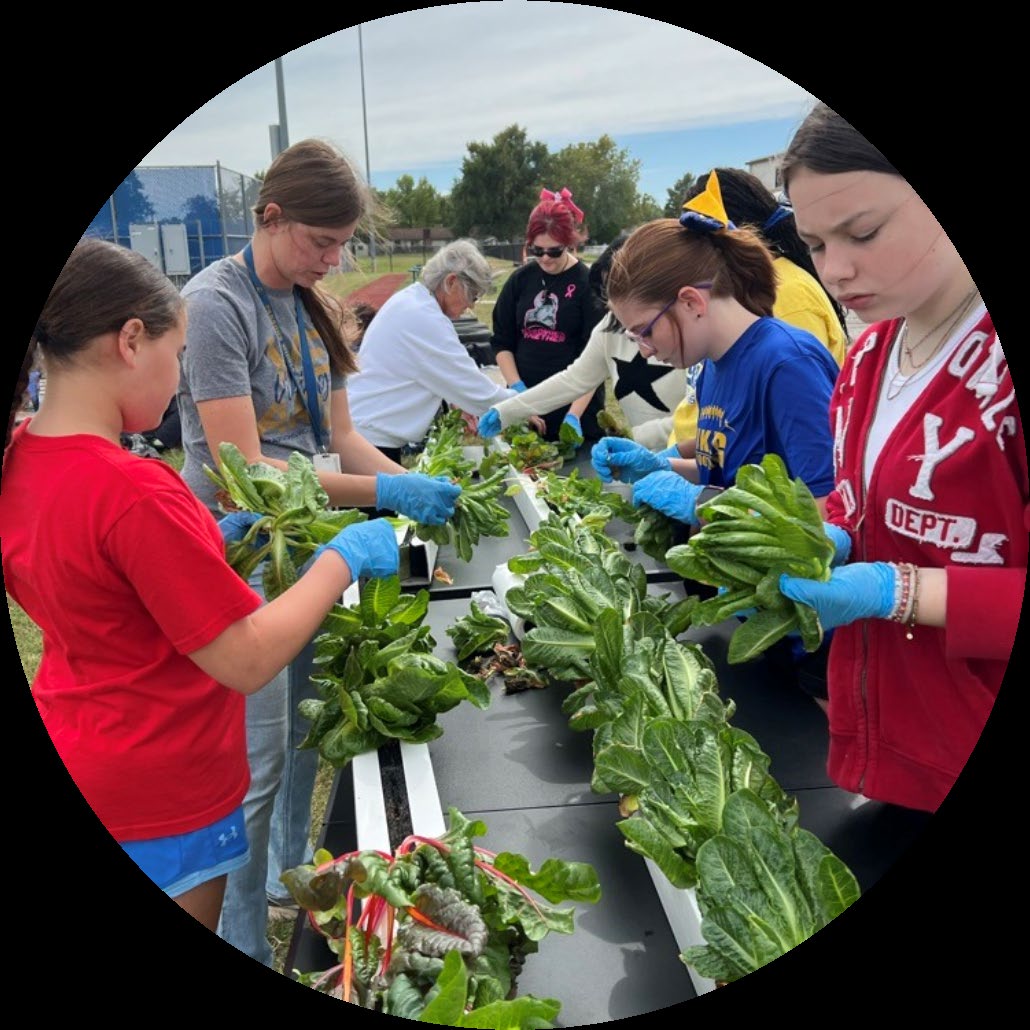 Students working with hydroponics
